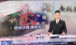 阿厦爆料徒弟视频大全,视频大全精彩瞬间回顾