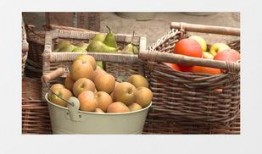 爆料水果桶视频下载安装,一键操作，轻松享受精彩内容