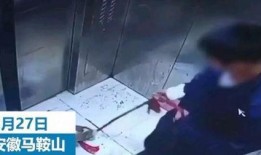 辽宁男孩爆料视频大全集,揭秘背后真相与感人瞬间