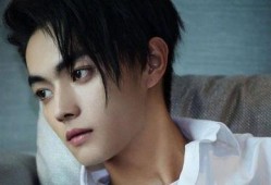 娱乐大瓜爆料许凯视频,娱乐大瓜背后的惊人真相