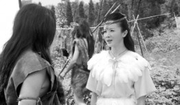 人皇伏羲电影在线观看,探寻华夏文明的起源之谜