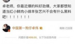 卓伟爆料娱乐圈明星是谁,揭秘娱乐圈神秘明星身份