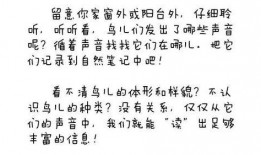 看戏吃瓜全文免费阅读小说,揭秘娱乐圈背后的故事