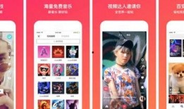 爱意爆料今日头条视频,今日头条热门视频揭秘，情感故事引热议