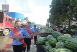 陇南康县网红吃瓜事件,一场网络狂欢背后的真相与反思