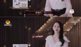 初九姐姐爆料视频在线观看,揭秘幕后真相，带你走进事件核心