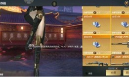 百宝箱爆料视频,精彩内容抢先看