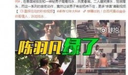 麦登真实爆料事件视频大全,真实事件视频全集深度解析