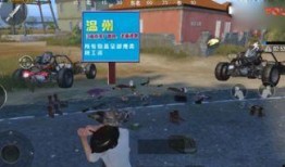 和平精英游戏视频爆料,揭秘游戏新内容，精彩视频爆料抢先看