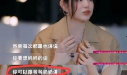 刘大锤爆料张佳宁视频,揭秘幕后真相