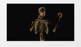 人体模型爆料视频下载