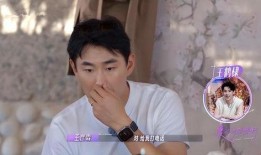 王鹤棣恋情爆料最新,甜蜜互动引粉丝热议