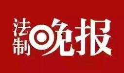法制新闻 爆料电话,独家爆料电话背后的真相