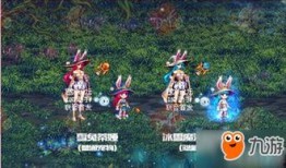 女娲宠物爆料视频大全,揭秘神秘宠物背后的故事