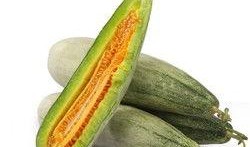 甜瓜概念爆料视频大全集,揭秘甜蜜背后的故事