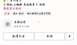 吃瓜 网红 网站下载,吃瓜群众的热门话题与下载攻略