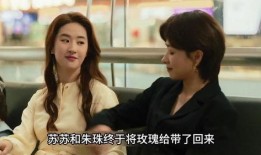 内娱最新事件爆料视频播放,揭秘娱乐圈惊人内幕