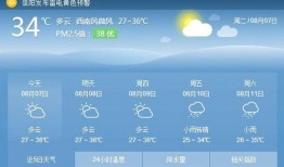 信阳今日爆料最新消息,揭秘今日重大事件真相