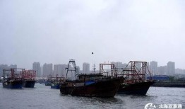 爆料渔船视频,揭秘深海奇观与未知生物之谜