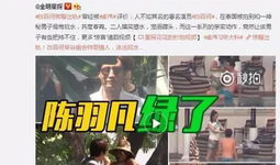 爆料丁海棠视频大全集,揭秘传奇人生的多面风采
