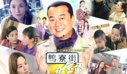 鸭寮街的金蛋在线观看