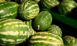 永康网红吃瓜事件,揭秘网络舆论的风暴与真相