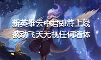 新野王被爆料视频大全集,揭秘幕后真相与精彩瞬间