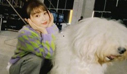 娱乐说爆料虞书欣