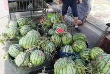 永康网红吃瓜事件,揭秘网络舆论的风暴与真相