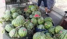 永康网红吃瓜事件,揭秘网络舆论的风暴与真相