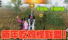春节吃鸡爆料视频播放,揭秘热门视频背后的火爆播放之谜