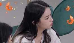 鹏哥爆料盈公主的视频全集,盈公主视频全集背后的惊人真相