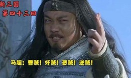 新三国43集在线观看,英雄末路，乱世烽烟再起