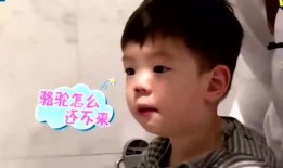 嗯哼爆料挨打视频大全,揭秘网络暴力背后的真相