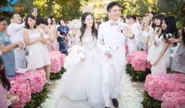 双宋婚礼爆料视频大全集,全程揭秘，精彩瞬间大盘点