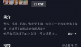 爆料丁海棠视频大全集,揭秘传奇人生的多面风采