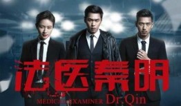 法医秦明免费在线观看,探案解谜，正义之光
