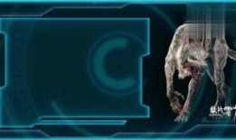 怪兽电影爆料视频大全,独家爆料视频大全深度解析