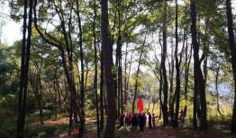 青草视频在线观看视频,畅享在线视听盛宴，尽览精彩瞬间