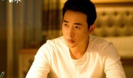 大懿爆料王志宇视频播放,王志宇视频引发热议，揭秘背后真相