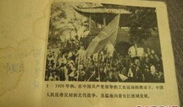 老电影枫树湾在线观看