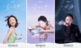 轻奢日料爆料视频播放,揭秘热门爆料视频背后的美味世界