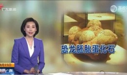 广东台触电新闻爆料电话,揭秘热线电话背后的真相