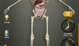 人体模型爆料视频下载