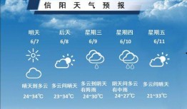 信阳今日爆料最新消息,揭秘今日重大事件真相