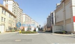 大桥新村爆料最新消息,揭秘社区发展新动态