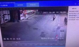 关于鱼的爆料有哪些呢视频,关于鱼的爆料视频大汇总