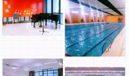 高新十一中最新爆料,揭秘校园风云与学子风采！”