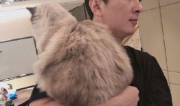 网红狗哥爆料吃瓜视频,揭秘吃瓜视频背后的惊人真相！