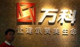 北峰万科爆料事件视频,揭露背后惊人真相